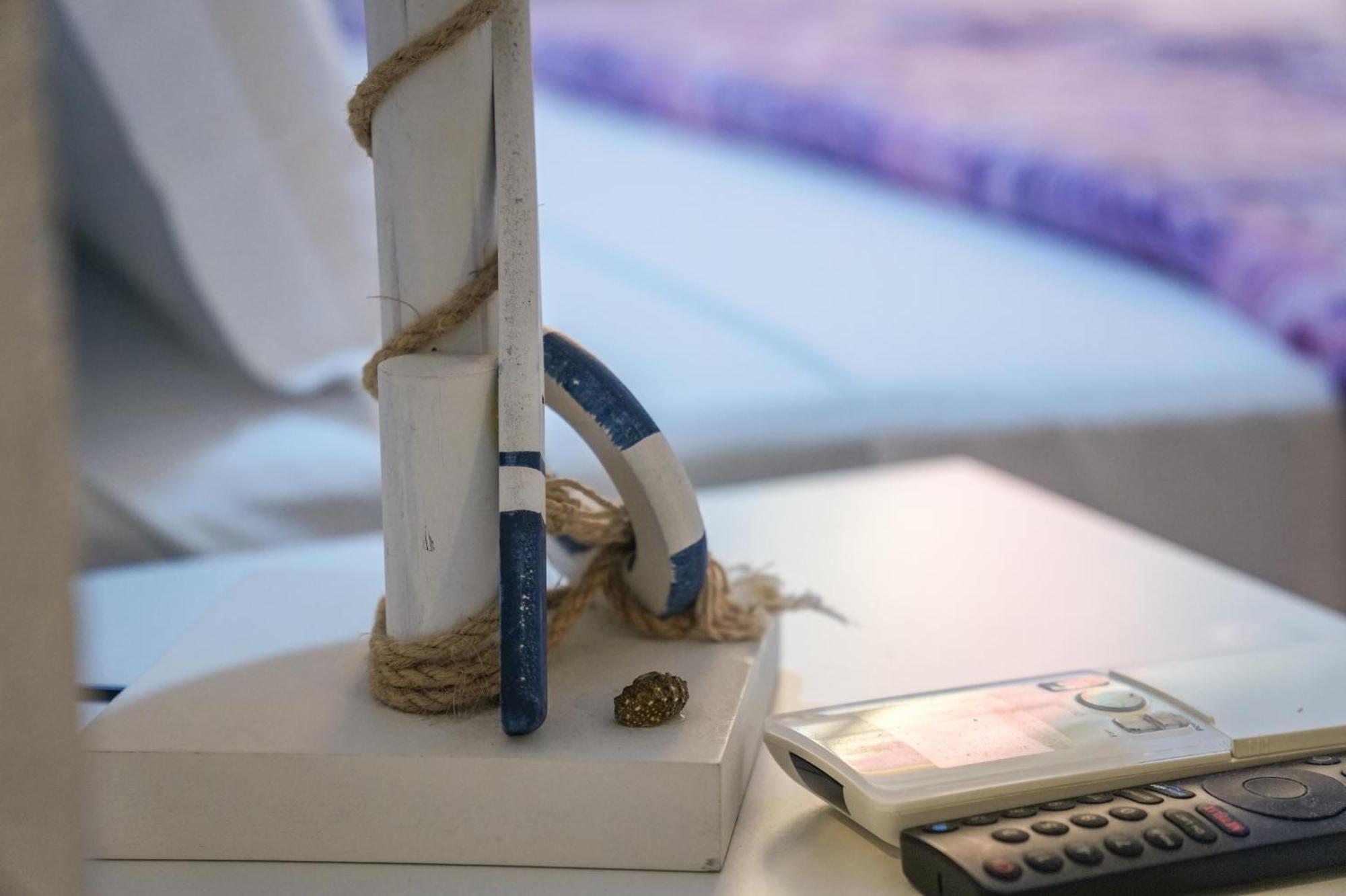 White Lerici Hotel Ngoại thất bức ảnh